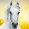 Diamond Dotz White Horse 30cm X 30cm -Hasbro Store 1d989fdc3c32defc225ff0b209477a98 thumb