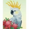 Diamond Dotz White Cockatoo & Warathas 51cm X 41cm -Hasbro Store 5c4145953e2e68ced343d390a1eabc14 thumb