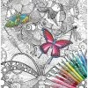 Colour Away Poster In A Native Garden -Hasbro Store 64900fe3189a57ff6be303cee42ee922 thumb