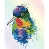 Diamond Dotz Rainbow Feathers 30cm X 35cm -Hasbro Store 78745fae485645f34c6fc9f70c8572fe thumb