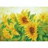 Diamond Dotz Hazy Daze Sunflowers 35cm X 27cm -Hasbro Store 9a2b6b6e98335e4c16d967d85a5da355 thumb