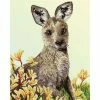 Diamond Dotz Kangaroo & Kangaroo Paw Flower 51cm X 41cm -Hasbro Store bb4538e4d39b886f8490ae4addfffeff thumb