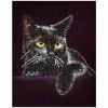 Diamond Dotz Midnight Cat 28cm X 36cm -Hasbro Store d202b7c66da364f51a202cd9293dc33b thumb